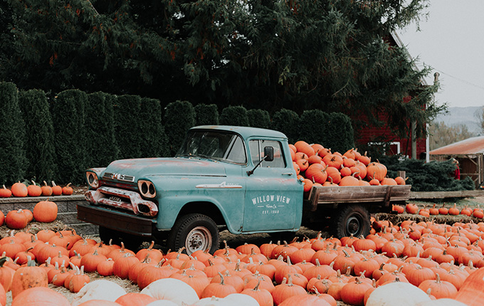 Pumpkin-filled Truck