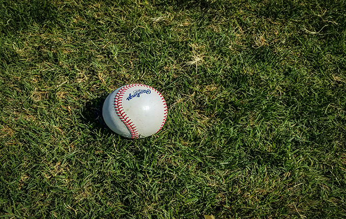 Baseball in the grass