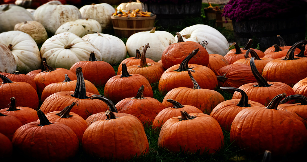 Klassische Halloween-Kostüme für die ganze Familie