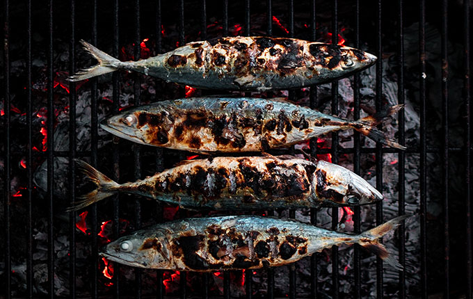 Fish on the Grill