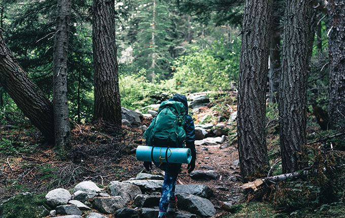 Hiking in the Woods