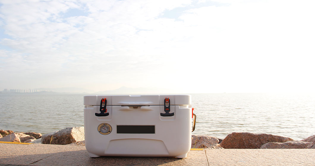 Top 10 Coolers for Any Situation