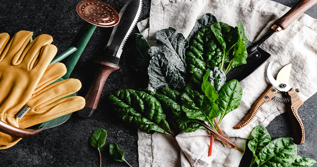 Tips & Products for Growing the Best Home Garden